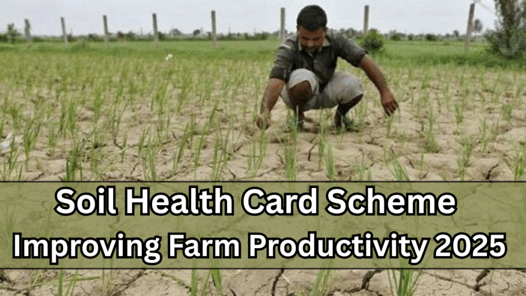 Soil Health Card Scheme – Improving Farm Productivity 2025
