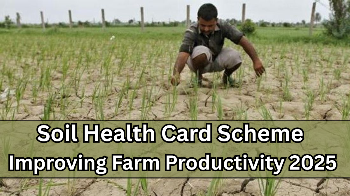 Soil Health Card Scheme – Improving Farm Productivity 2025